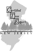 New Jersey Certified Tree Expert