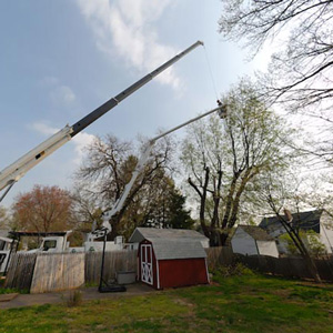 Tree Removal | Haddon Heights NJ