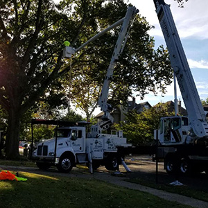 TREE SERVICES SIOUX FALLS